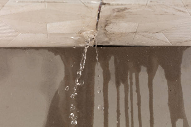 Professional Structural Drying technician working in Bethel, OH